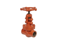 Forged Steel Globe Valve