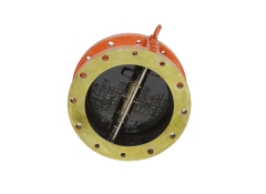 Dual Plate Check Valve